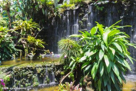 ںӹ2ȷ1֢״Ⱦг̹켣